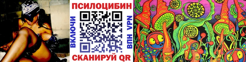 Псилоцибиновые грибы прущие грибы  Великий Новгород 
